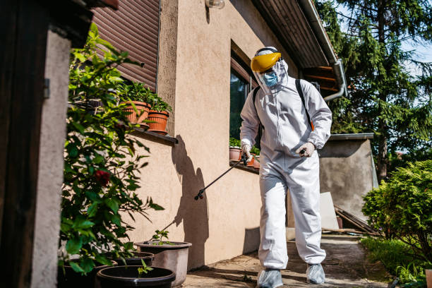 Best Insect Control  in Riceville, TN
