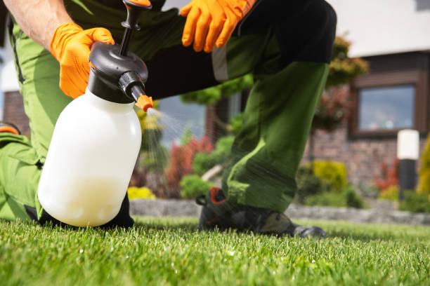 Best Best Pest Control Companies  in Riceville, TN