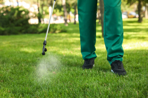 Best Mosquito Control Services  in Riceville, TN