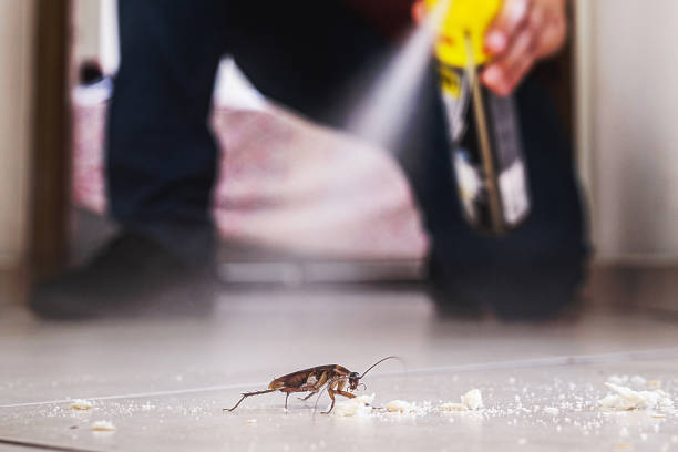 Best Commercial Pest Control Services  in Riceville, TN