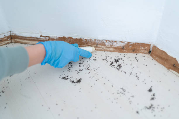 Best Residential Pest Control  in Riceville, TN